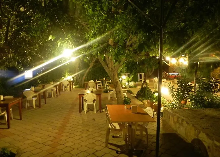 Hotell Star *