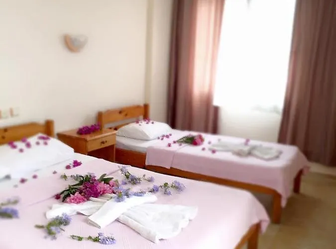 Hotell Star *